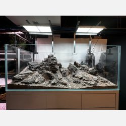 Frodo Stone North Face