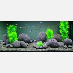 Calbuco Lava Pebbles (14 - 18 cm) Large