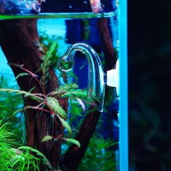 Green Aqua CO2 Drop Checker Nano