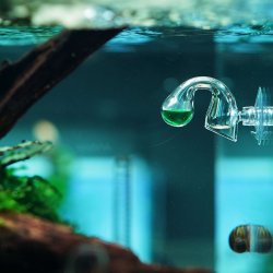 GreenWorks CO2 Drop Checker