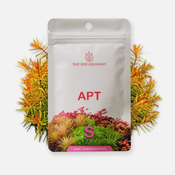 2Hr Aquarist APT Start - 45 g