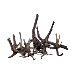 WIO Black Tree Trunk Wood