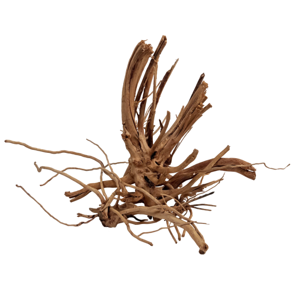 Blondspider Wood