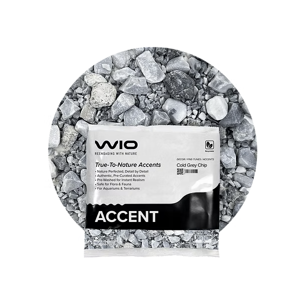 WIO Cold Grey Chip Accent
