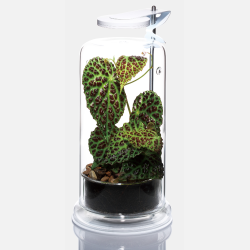DOOA Light Stand Z