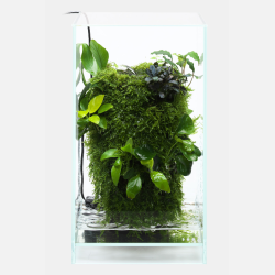 ADA Stream Pump Mini