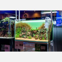 UNS Atmos - Background