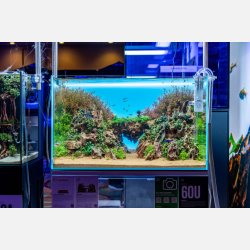 UNS Atmos - Background