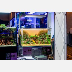 UNS Atmos - Background