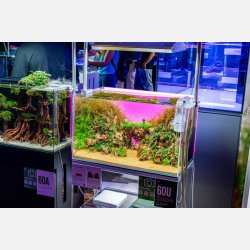 UNS Atmos - Background