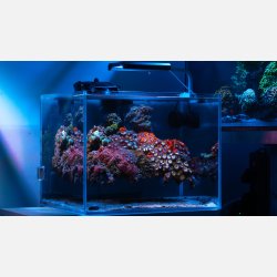 Skylight Hyperbar RXS.15