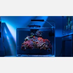 Skylight Hyperbar RXS.15