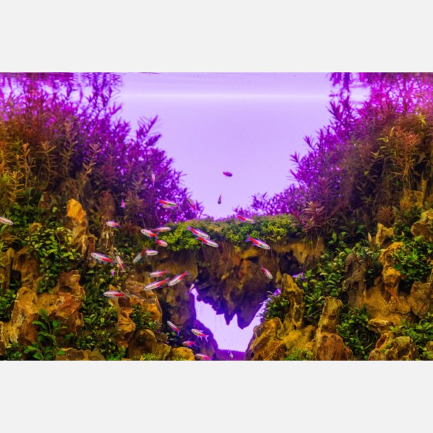 UNS Atmos - Background