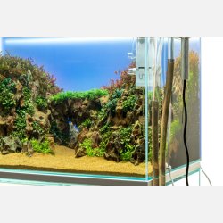 UNS Atmos - Background