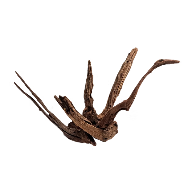 WIO Longhorn Wood