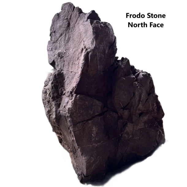 Frodo Stone North Face