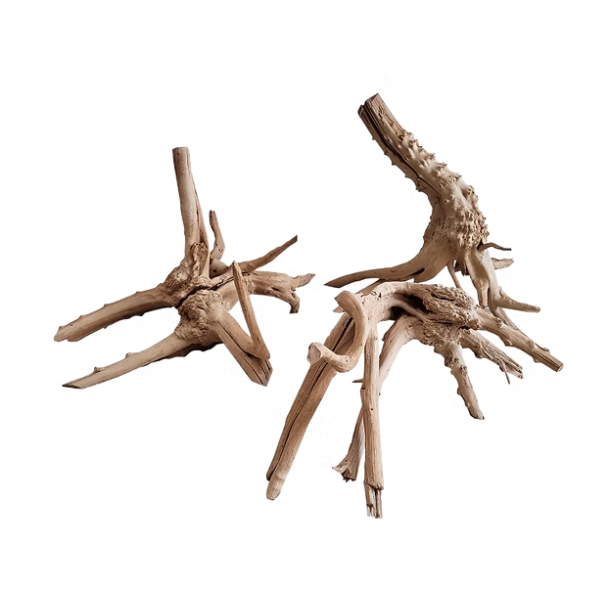 WIO Tree Trunk Wood