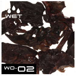 WO-02 Horn Wood Pieces (4 Pieces )