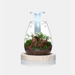 DOOA Magnet Light G Slim