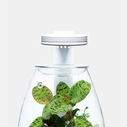 DOOA Magnet Light Arm