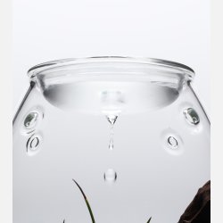 DOOA Glass Pot SHIZUKU