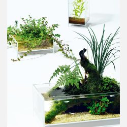 DOOA Neo Glass AIR W20-D20-H20 (cm)