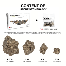 WIO Elderly Stone Box