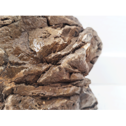 WIO Elderly Stone Box