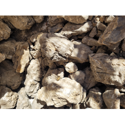 WIO Elderly Stone Box